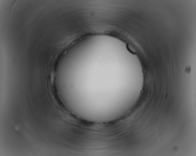 X0000101470076200807071229