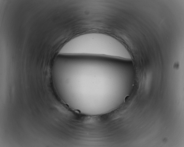 X0000101470077200807071229