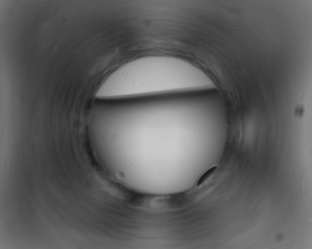 X0000101470078200807071229