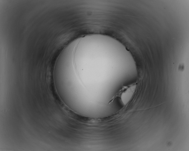 X0000101470080200807071229