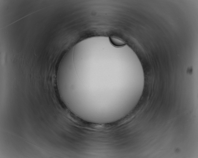 X0000101470083200807071229
