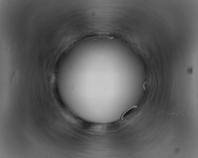 X0000101470084200807071229