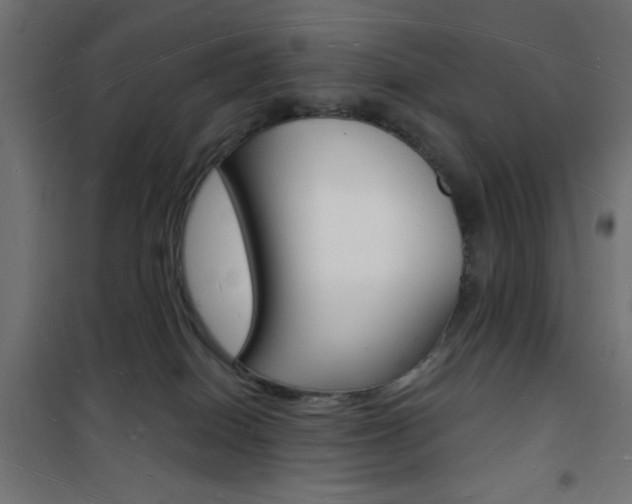 X0000101470086200807071229
