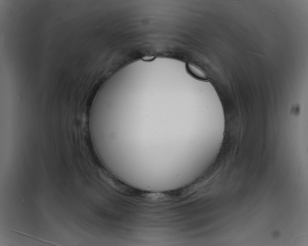 X0000101470087200807071229