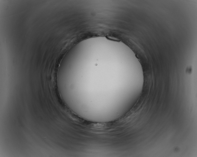 X0000101470088200807071229