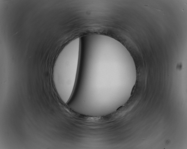 X0000101470089200807071229