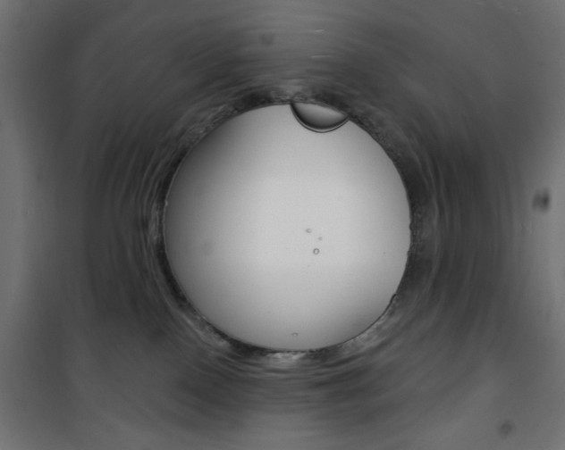 X0000101470090200807071229