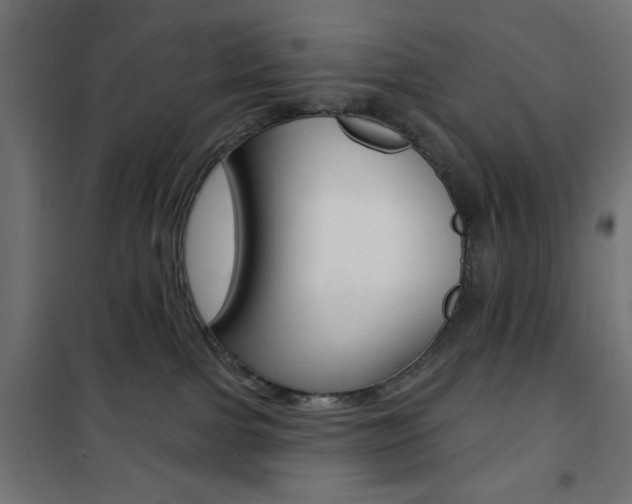 X0000101470091200807071229