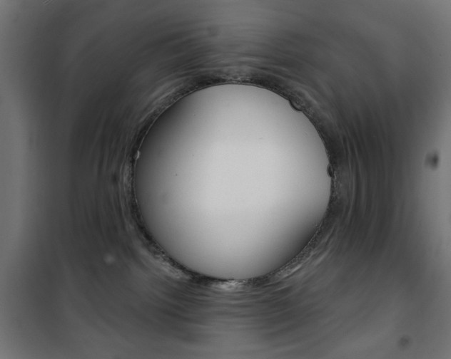 X0000101470092200807071229