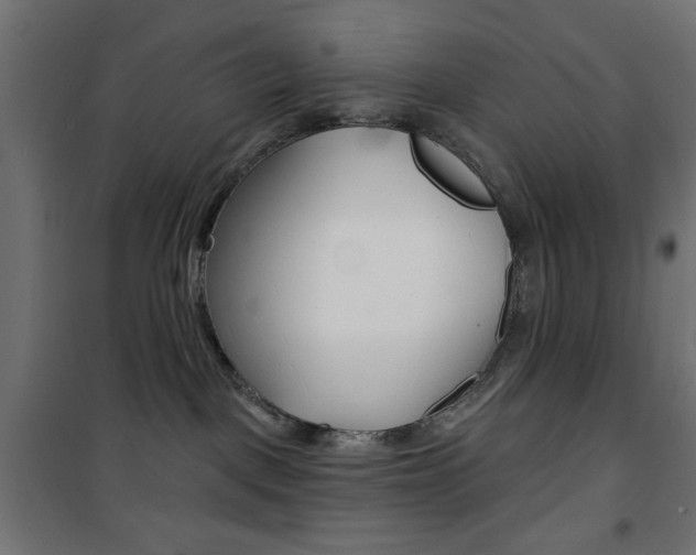 X0000101470093200807071229