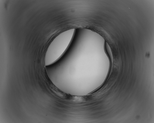 X0000101470095200807071229