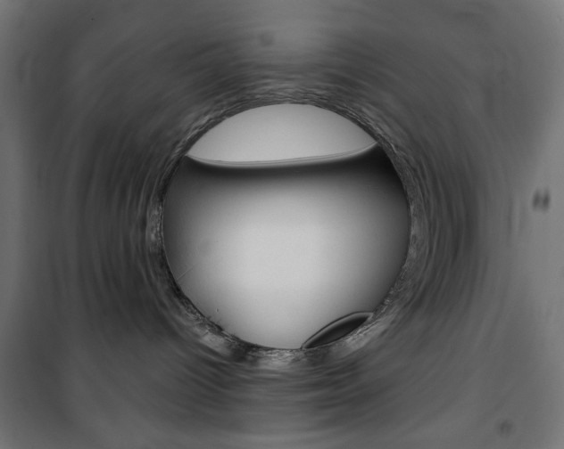 X0000101470096200807071229