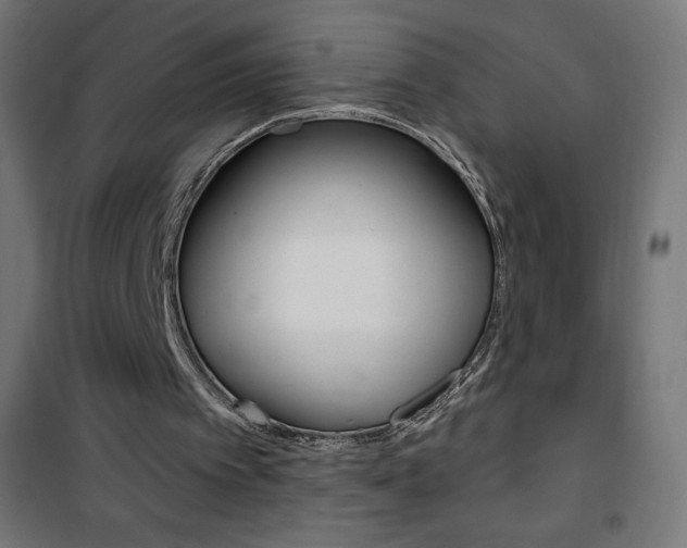 X0000101470097200807071228