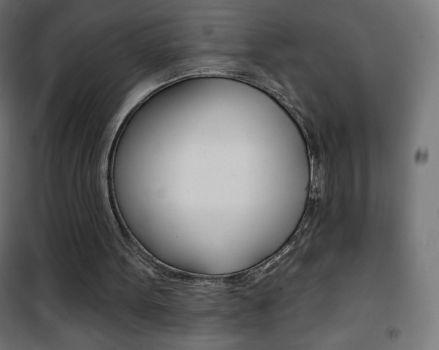 X0000101470099200807071228