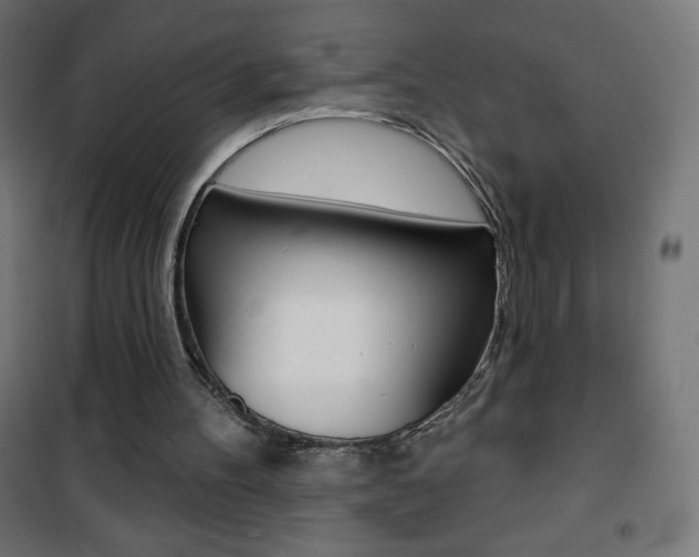 X0000101470100200807071228