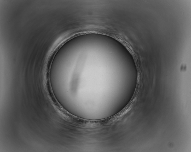 X0000101470101200807071228