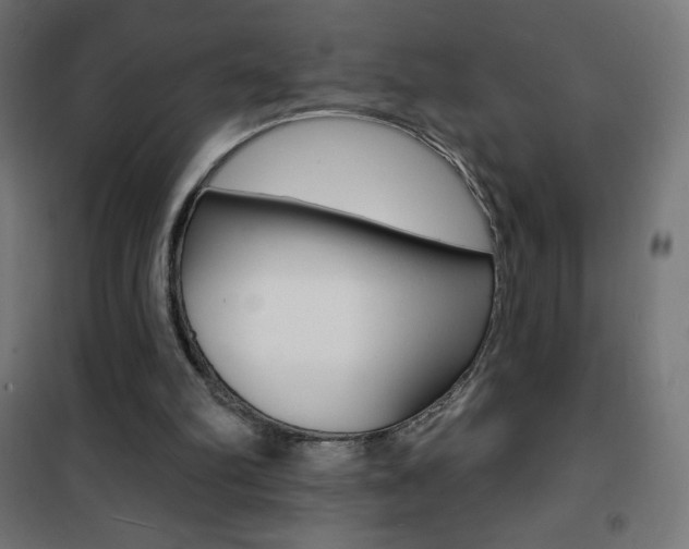 X0000101470102200807071228