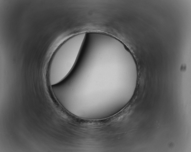 X0000101470103200807071228
