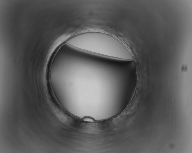 X0000101470104200807071228