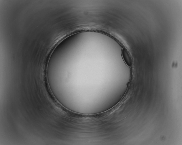 X0000101470105200807071228