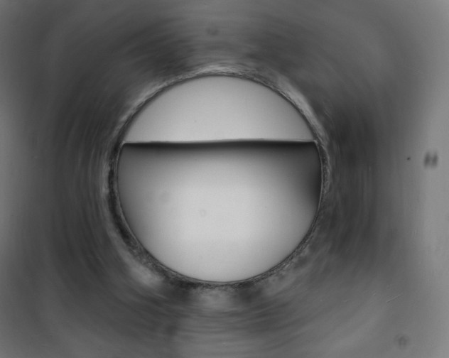 X0000101470106200807071228