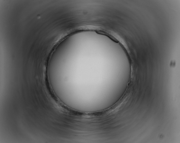 X0000101470109200807071228