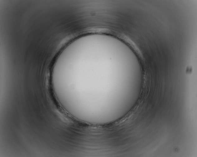 X0000101470110200807071228