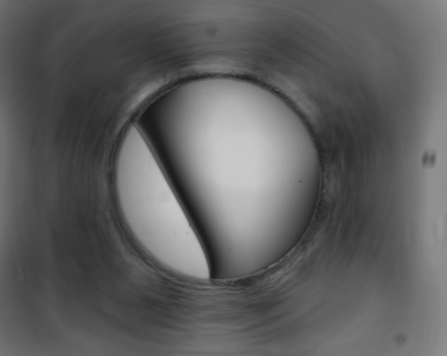 X0000101470111200807071228