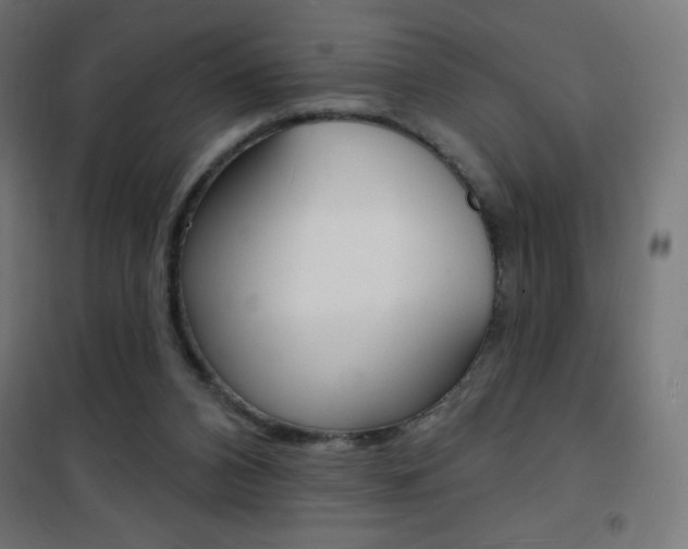 X0000101470112200807071228