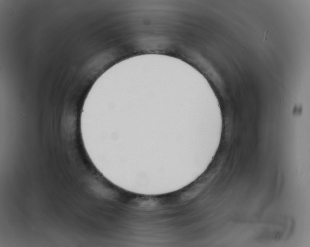X0000101470113200807071228
