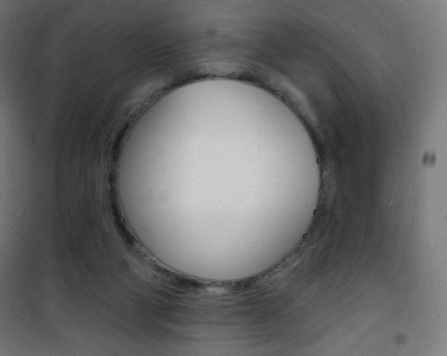 X0000101470114200807071228