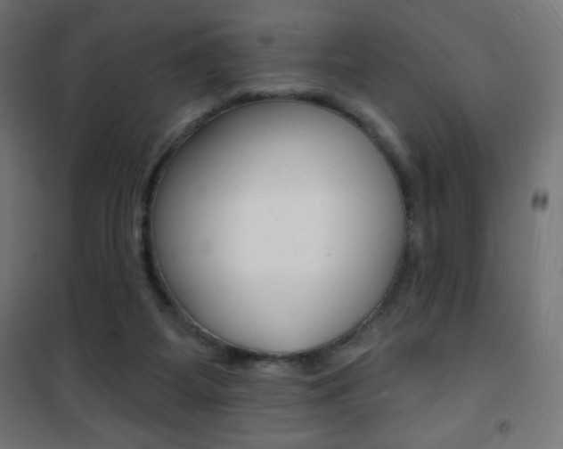 X0000101470115200807071228