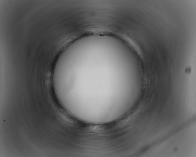 X0000101470117200807071228
