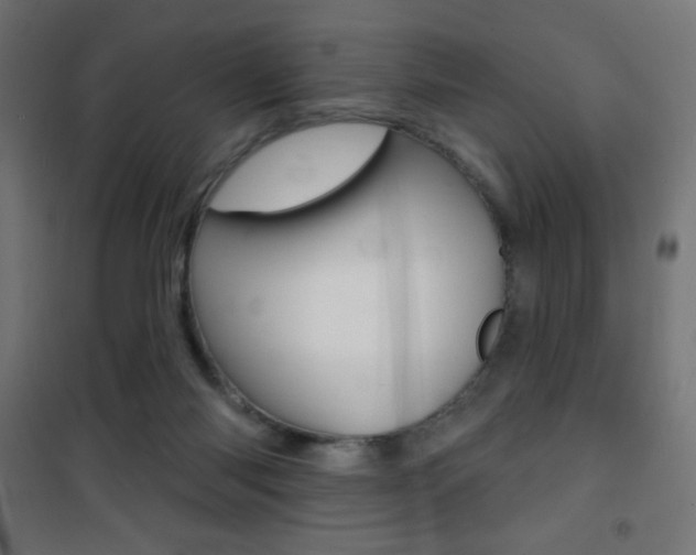 X0000101470118200807071228