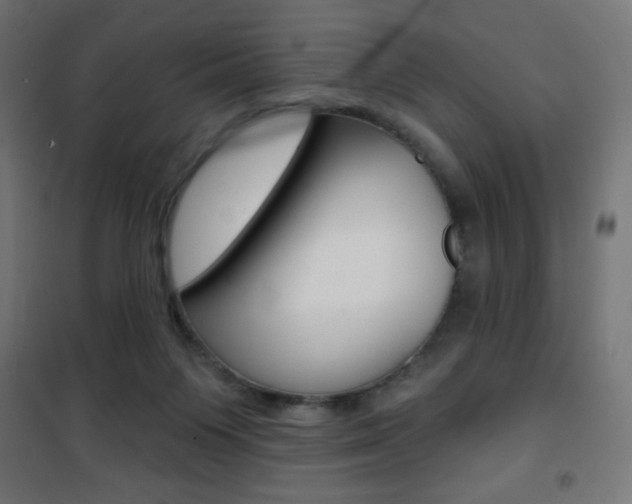 X0000101470119200807071228