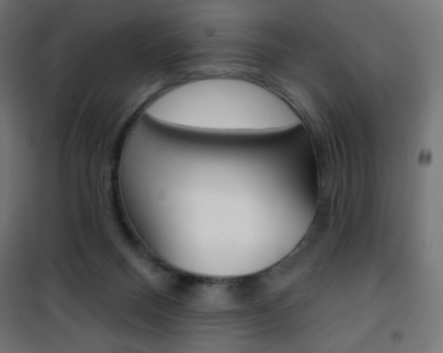 X0000101470120200807071228