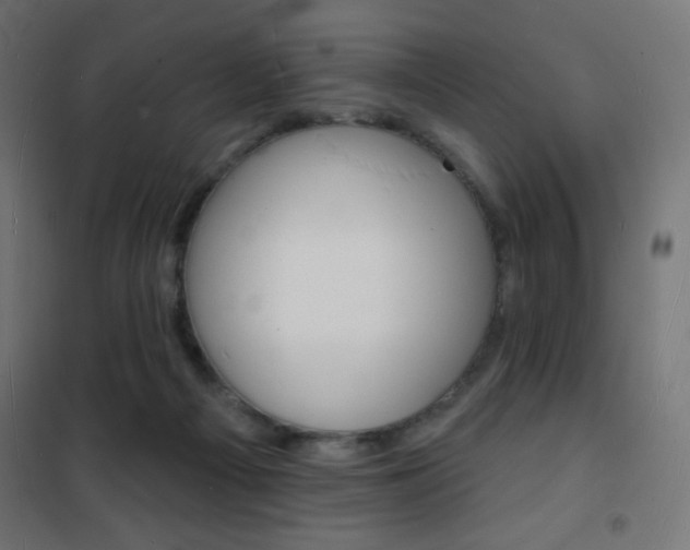 X0000101470121200807071228