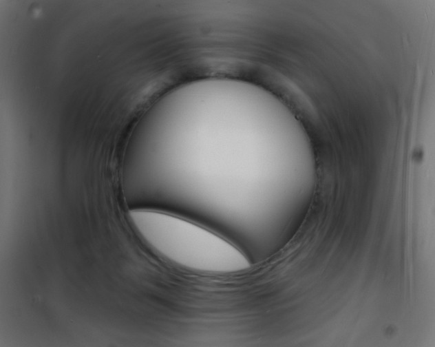 X0000101470123200807071228
