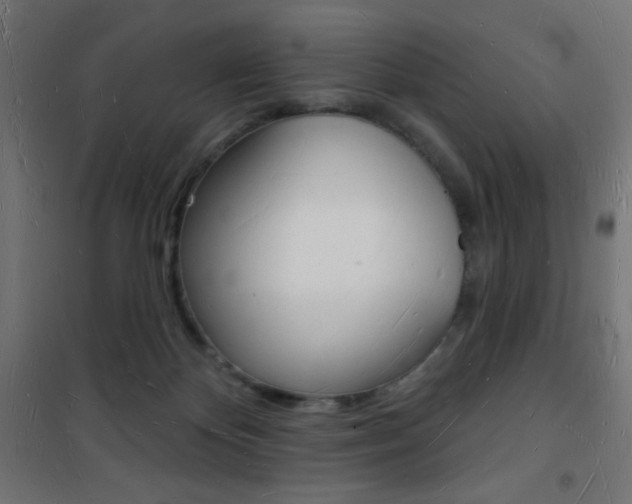 X0000101470124200807071228