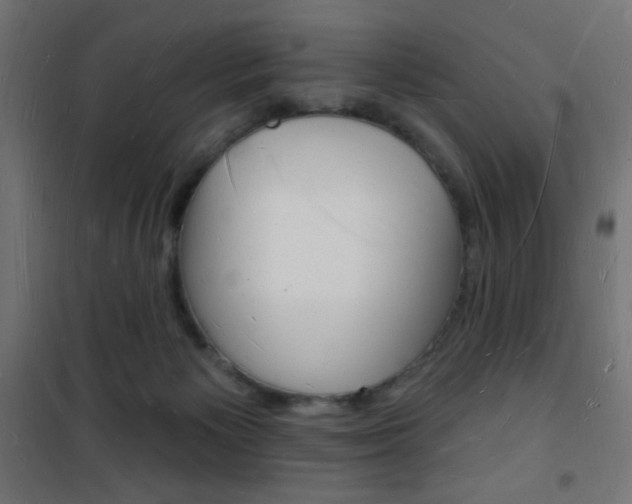 X0000101470125200807071228