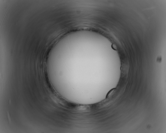 X0000101470126200807071228