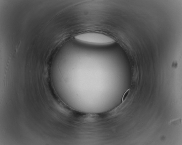 X0000101470128200807071228