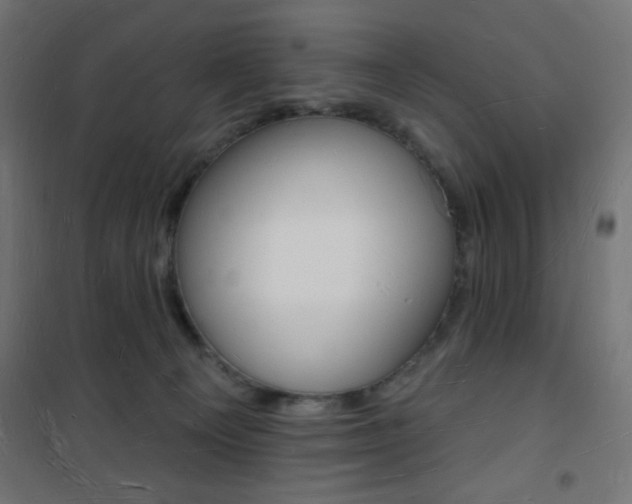 X0000101470129200807071228