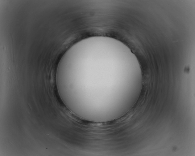 X0000101470131200807071228