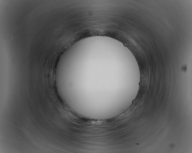 X0000101470134200807071228