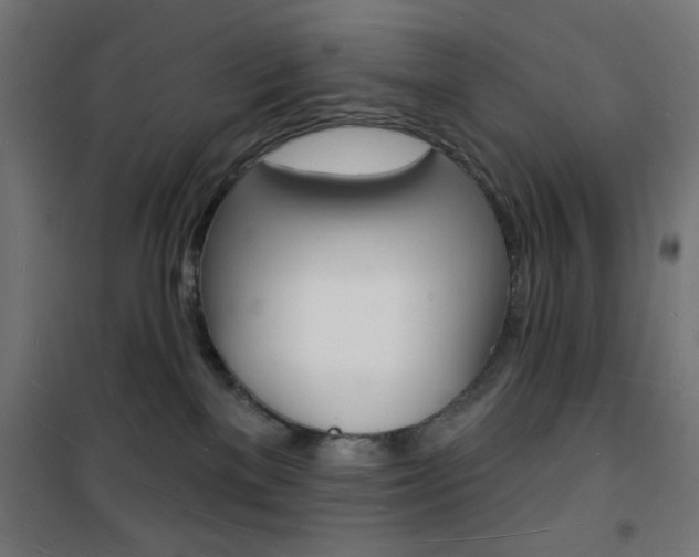 X0000101470137200807071228