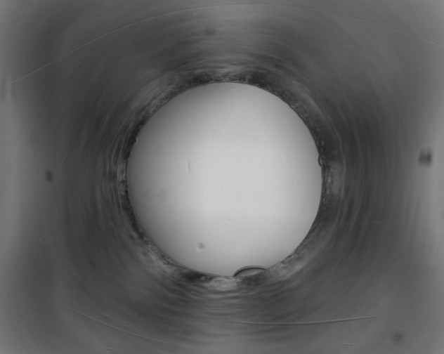 X0000101470138200807071228