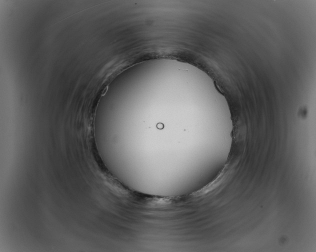 X0000101470140200807071228