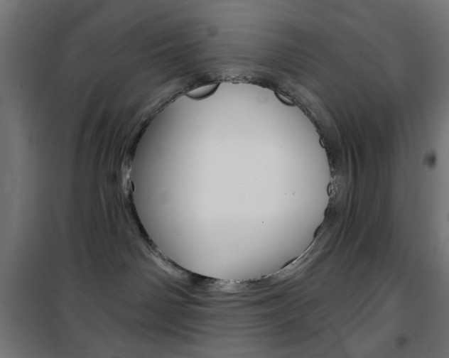X0000101470142200807071227