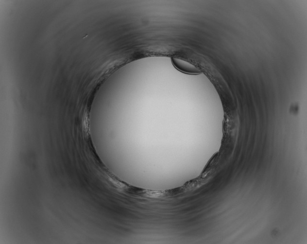 X0000101470143200807071227